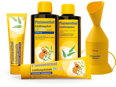 Gruppe von Pinimenthol-Produkten