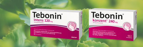 Tebonin konzent und Tebonin intens mit einem Composing von Ginkgo-Blättern als Hintergrund