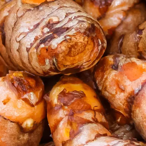 Detail-Ansicht von Curcuma-Wurzeln
