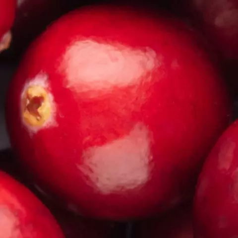 Detail-Ansicht von Cranberries