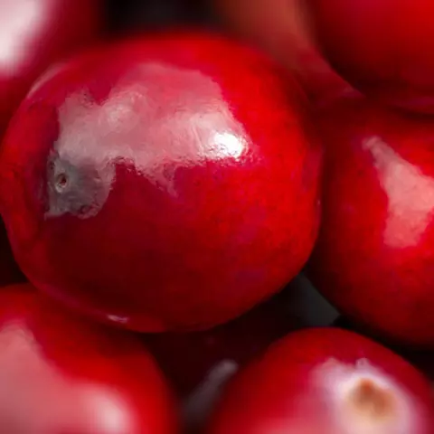 Detail-Ansicht von Cranberries