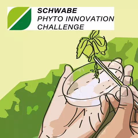 Grafik zur Schwabe Phyto Innovation Challenge