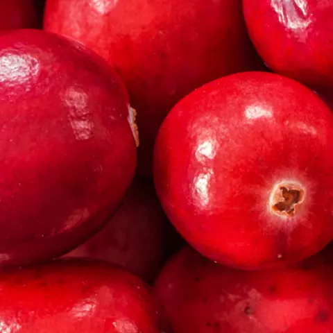 Detail-Ansicht von Cranberries