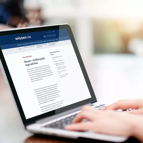 Aufsicht auf ein Laptop mit geöffneter Website von wissen.de, die sich eine junge Frau anschaut