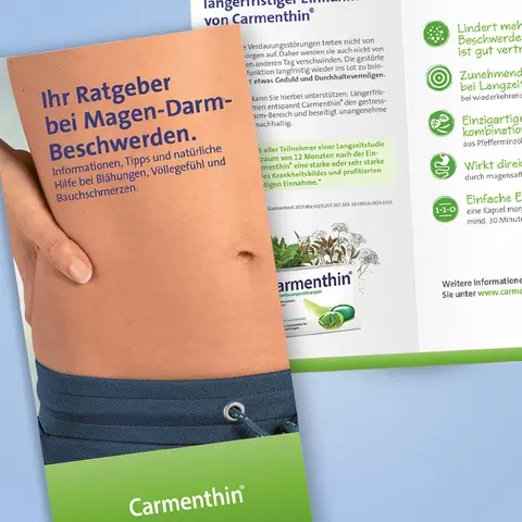 Detail-Ansicht Ratgeber Carmenthin