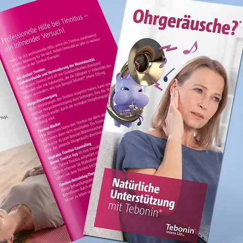 Detail-Ansicht Ratgeber Ohrgeräusche