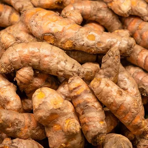 Detail-Ansicht von Curcuma-Wurzeln