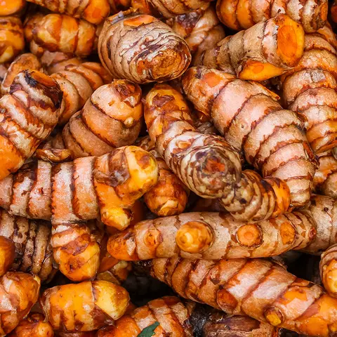 Detail-Ansicht von Curcuma-Wurzeln