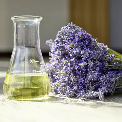 Frisch geschnittener Lavendel liegt neben einem Glasgefäß mit Lavendelöl auf einer sonnendurchfluteten Oberfläche.