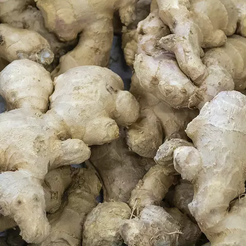 Detail-Ansicht von Ingwer-Wurzeln