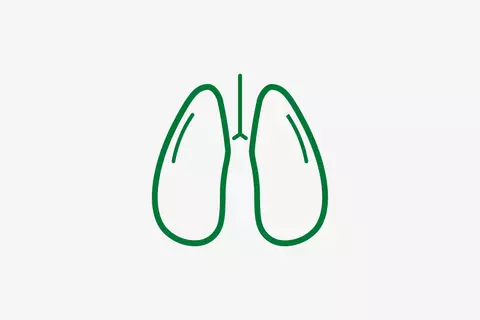 Icon Lungenflügel